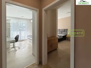 Pronájem bytu 3+kk, Plzeň, Heyrovského, 80 m2