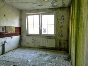 Prodej rodinného domu, Hošťka - Žebráky, 97 m2