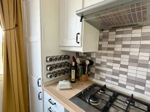 Pronájem bytu 3+1, Žatec, Ostrov, 64 m2