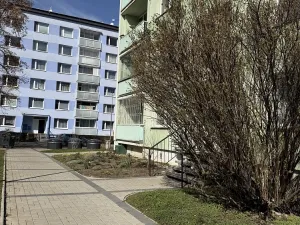 Pronájem bytu 3+1, Žatec, Ostrov, 64 m2