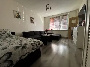 Prodej bytu 1+1, Chomutov, Kamenná, 36 m2