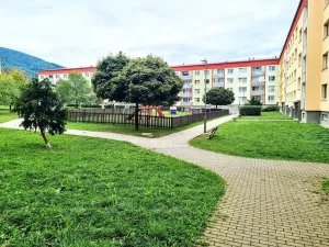 Prodej bytu 2+kk, Osek, Slovenská, 43 m2