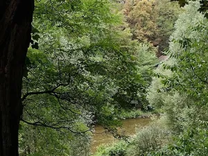 Prodej chaty, Krňany - Třebsín, 24 m2