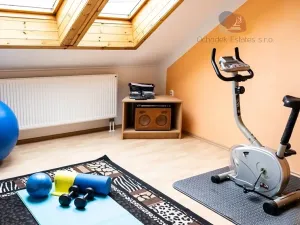 Prodej vícegeneračního domu, Litovel, 265 m2