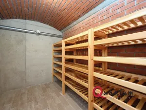 Pronájem bytu 4+kk, Praha - Prosek, Na samotě, 167 m2