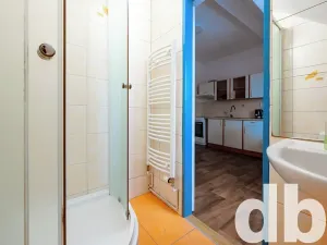 Pronájem bytu 1+1, Karlovy Vary, Jabloňová, 45 m2