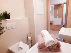 Pronájem bytu 1+kk, Brno, Šemberova, 51 m2