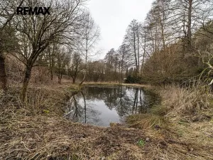 Prodej rodinného domu, Červená Voda, 440 m2