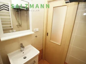 Pronájem bytu 2+kk, Plzeň, Úslavská, 38 m2