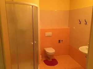 Pronájem bytu 1+kk, Písek, Pražská, 31 m2