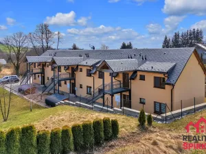 Prodej bytu 2+kk, Červená Voda - Mlýnický Dvůr, 45 m2