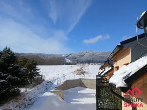 Prodej bytu 2+kk, Červená Voda - Mlýnický Dvůr, 45 m2