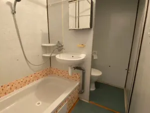 Prodej bytu 1+1, Brno - Bystrc, Heyrovského, 34 m2