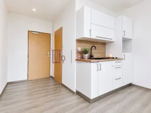 Pronájem bytu 1+kk, Jindřichův Hradec - Jindřichův Hradec III, sídliště Vajgar, 16 m2