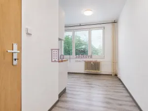 Pronájem bytu 1+kk, Jindřichův Hradec - Jindřichův Hradec III, sídliště Vajgar, 16 m2