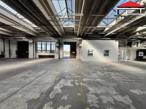 Pronájem obchodního prostoru, Ostrava, Slovenská, 992 m2