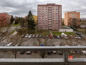 Prodej bytu 3+1, Plzeň - Doubravka, Družby, 63 m2