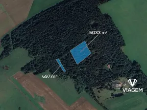 Prodej lesa, Chodská Lhota, 5730 m2