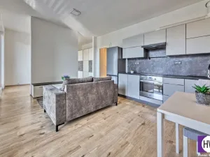 Pronájem bytu 1+kk, Praha, Jurkovičova, 47 m2