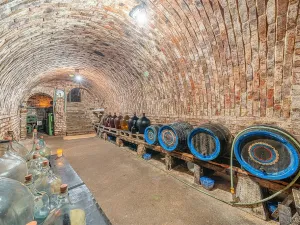 Prodej ostatní, Čejkovice