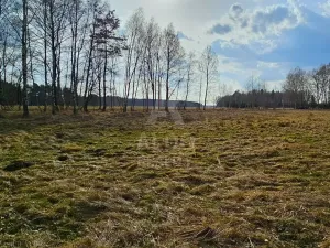 Prodej pozemku pro bydlení, Hranice, 10095 m2