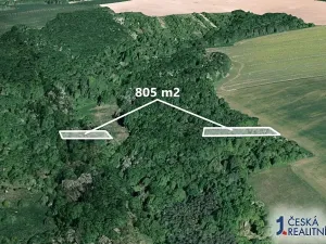 Prodej lesa, Hradčovice, 805 m2