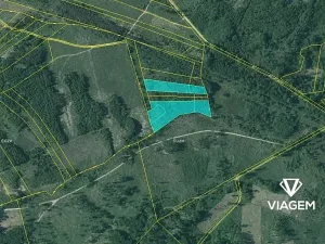 Prodej lesa, Dačice, 13651 m2