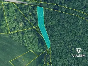 Prodej podílu lesa, Bačalky, 626 m2