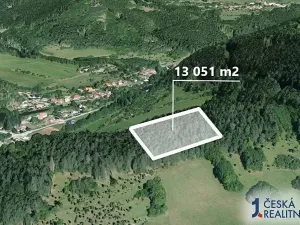 Prodej podílu lesa, Koroužné, 3262 m2
