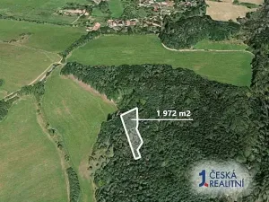 Prodej podílu lesa, Nový Hrozenkov, 220 m2