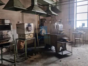 Prodej výrobních prostor, Klatovy, Franty Šumavského, 1098 m2