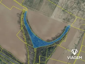 Prodej podílu lesa, Mělnické Vtelno, 8584 m2