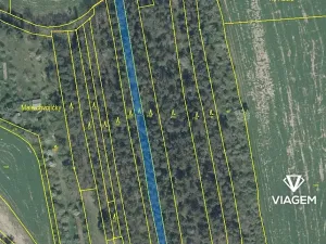 Prodej podílu lesa, Koloveč, 427 m2