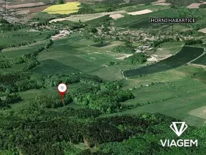 Prodej podílu lesa, Horní Habartice, 2694 m2