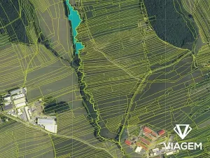 Prodej podílu lesa, Loučka, 581 m2