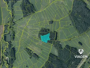 Prodej podílu lesa, Vítanov, 1399 m2