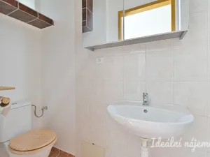 Pronájem bytu 1+1, Brno, Bratislavská, 40 m2