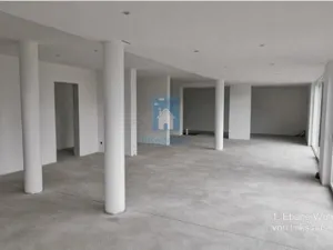 Prodej vily, Salzburg,Rakousko, 386 m2