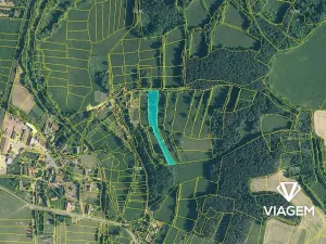 Prodej podílu zahrady, Třebčice, 2632 m2