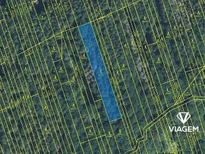 Prodej podílu lesa, Kněždub, 3060 m2