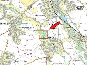 Prodej lesa, Praha, 5555 m2