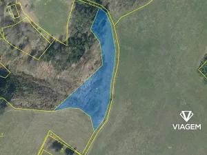 Prodej podílu zahrady, Cetenov, 2084 m2