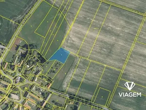 Prodej pole, Chrtníč, 2494 m2