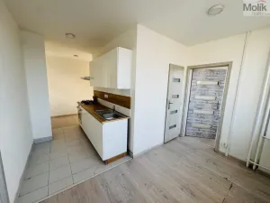 Pronájem bytu 3+1, Most, M. G. Dobnera, 62 m2