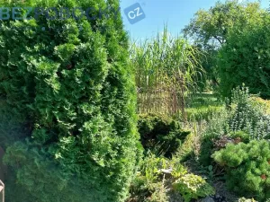 Prodej chaty, Chotěboř - Dobkov, 16 m2