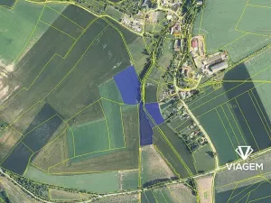 Prodej podílu pole, Zaloňov, 616 m2