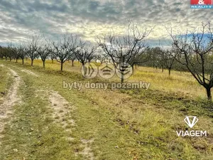 Prodej podílu pole, Roudnice nad Labem, 2009 m2