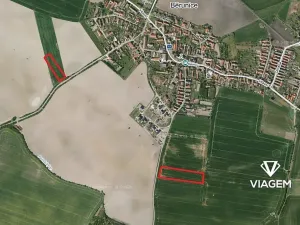 Prodej podílu pole, Běrunice, 1961 m2