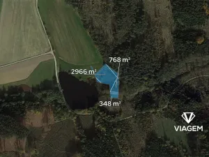 Prodej lesa, Jemnice, 4700 m2