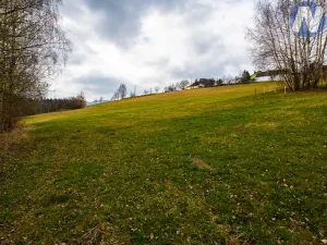 Prodej pozemku pro bydlení, Bošice, 9772 m2